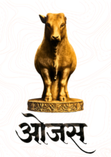untitled design (5)